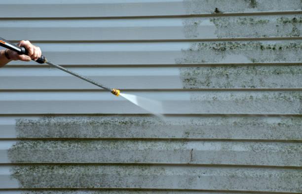 Best Soft Washing for Delicate Surfaces in The Woodlands, TX